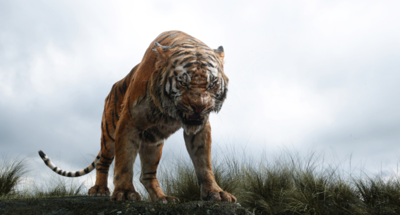 Druhá Kniha džunglí využije i obsah, který se nevešel do původního animáku 20180115092941000000_2_2140.png