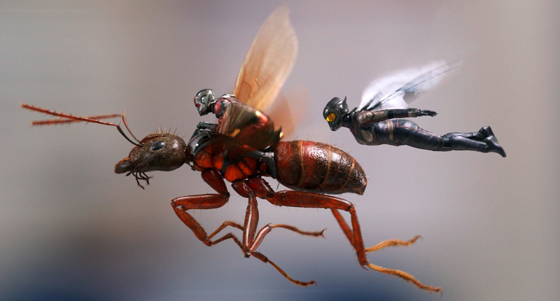 Filmožrout: Ant-Man a Wasp je průměrná marvelovka se slabším scénářem, tvrdí recenze 20180703140924000000_2_3503.png