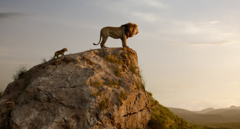 Režisér Lvího krále Jon Favreau odhalil velkou změnu proti předloze, máme i novou fotku 20190614190639000000_2_6092.png