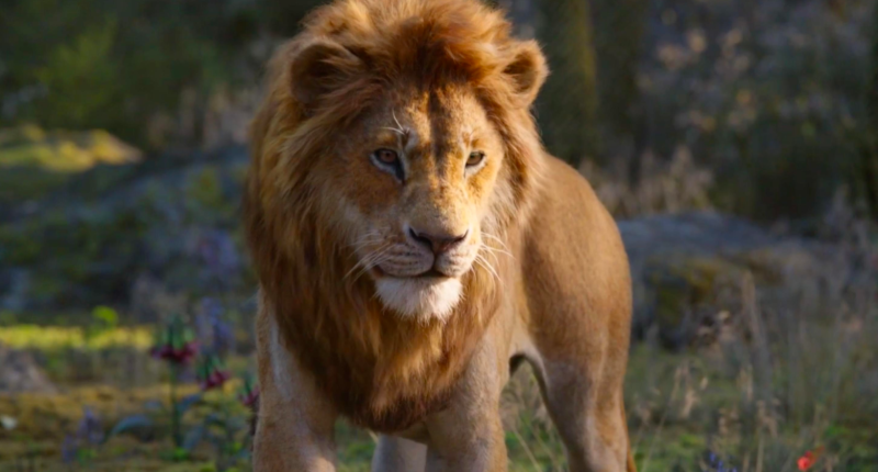 Lví král překonal miliardu v tržbách, porazil tak původní animák 20190730214441000000_2_6449.png