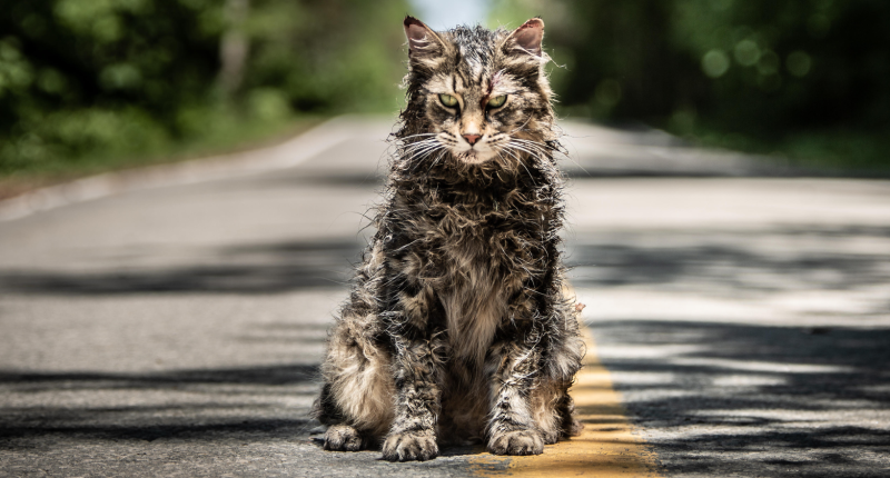 Řbitov zvířátek, Fantastická čtyřka: Filmy, které vznikly jen kvůli zachování práv k adaptaci 20191003103334000000_2_6945.png