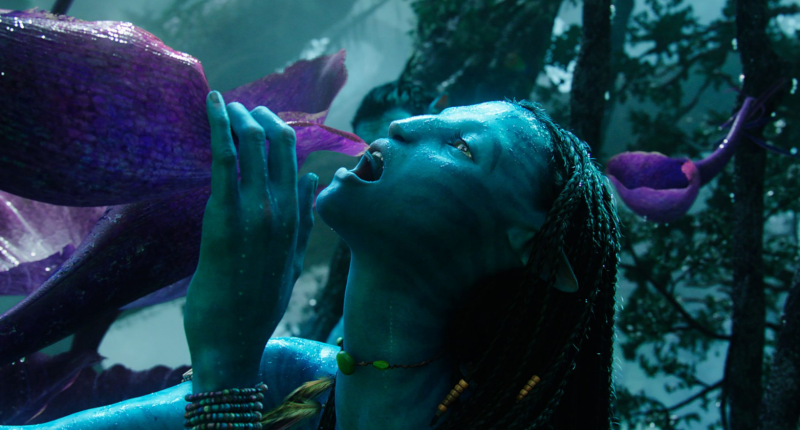 Avatar: James Cameron na Twitteru ukázal fotky z posledního letošního natáčení 20201217101839000000_2_11679.png