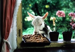 Na samotě u lesa / Filmové studio Barrandov