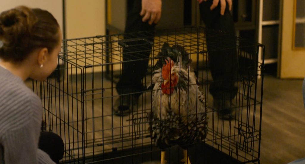 Jedna rodina / Foto: TV Nova