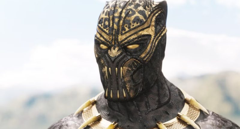 Denzel Washington promluvil o svém obsazení ve filmu Black Panther 3 Black Panther / Foto: Marvel Studios