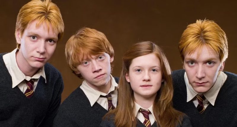 Víme, kteří herci ztvární děti Weasleyových v seriálu Harry Potter Weasleyovi ve filmu Harry Potter / Foto: Warner Bros.