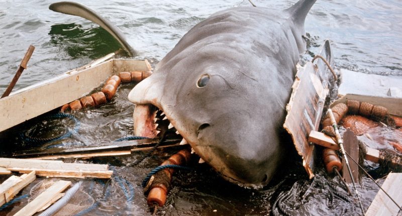 Čelisti jako filmový milník plný děsu i filmařských legend Čelisti / Foto: Universal Pictures