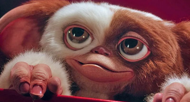 Legenda je po 37 letech zpět, Gremlins 3 má datum premiéry i režiséra Gremlins / Foto: Warner Bros. Pictures