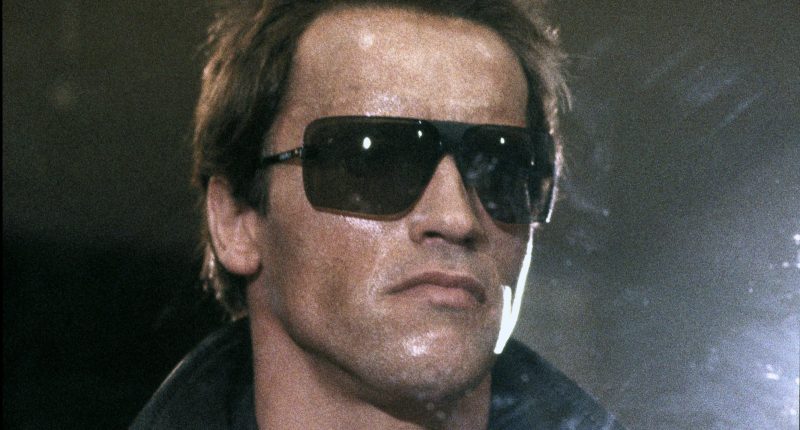 James Cameron vyvrací Schwarzeneggerovu verzi o obsazení Terminátora Terminátor / Foto: 20th Century Studios