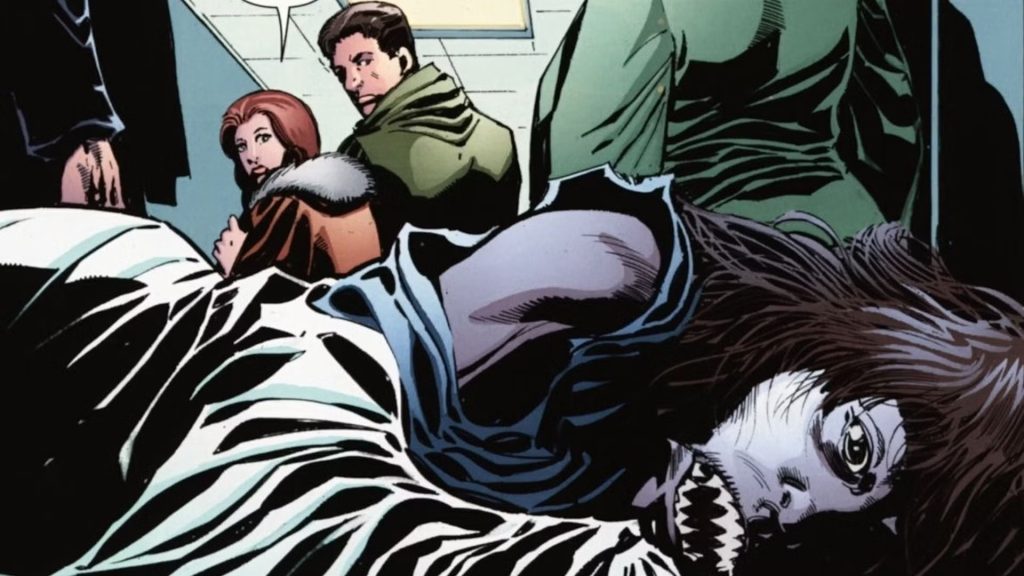 Foto: IDW Publishing/Wildstorm Productions