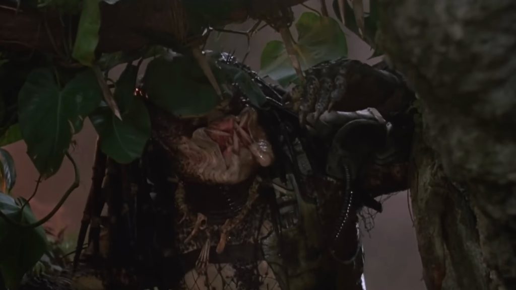 Predátor / Foto: 20th Century Fox