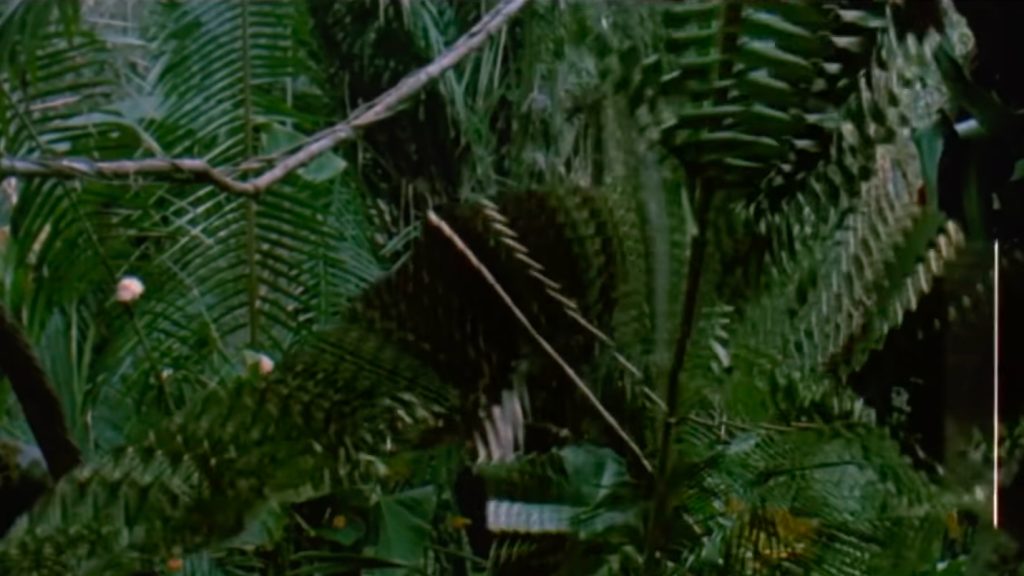 Predátor / Foto: 20th Century Fox