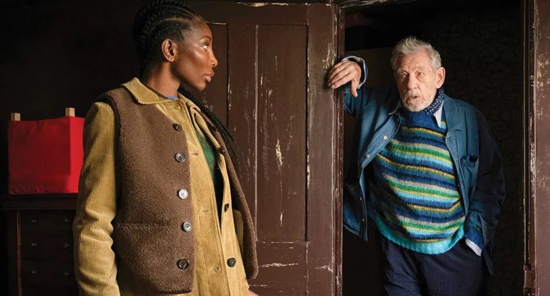 Nový trailer na film The Christophers ukazuje Iana McKellena v riskantním padělatelském plánu The Christophers / Foto: Neon