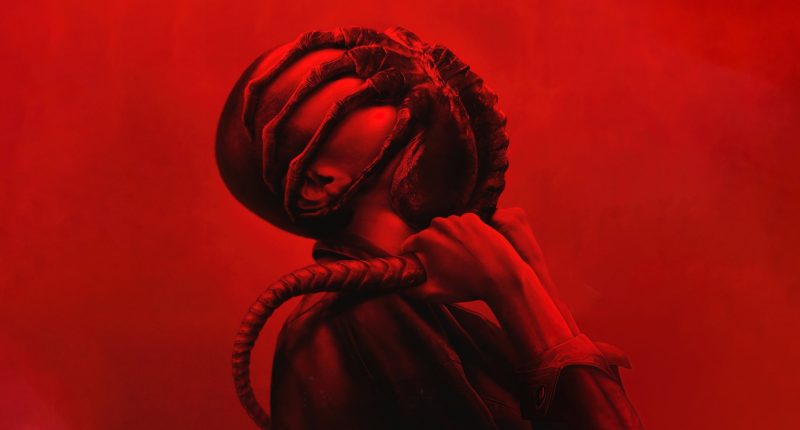 Nečekaný obrat u pokračování filmu Vetřelec: Romulus. Zákulisní spor mění směr série Vetřelec: Romulus / Foto: 20th Century Studios